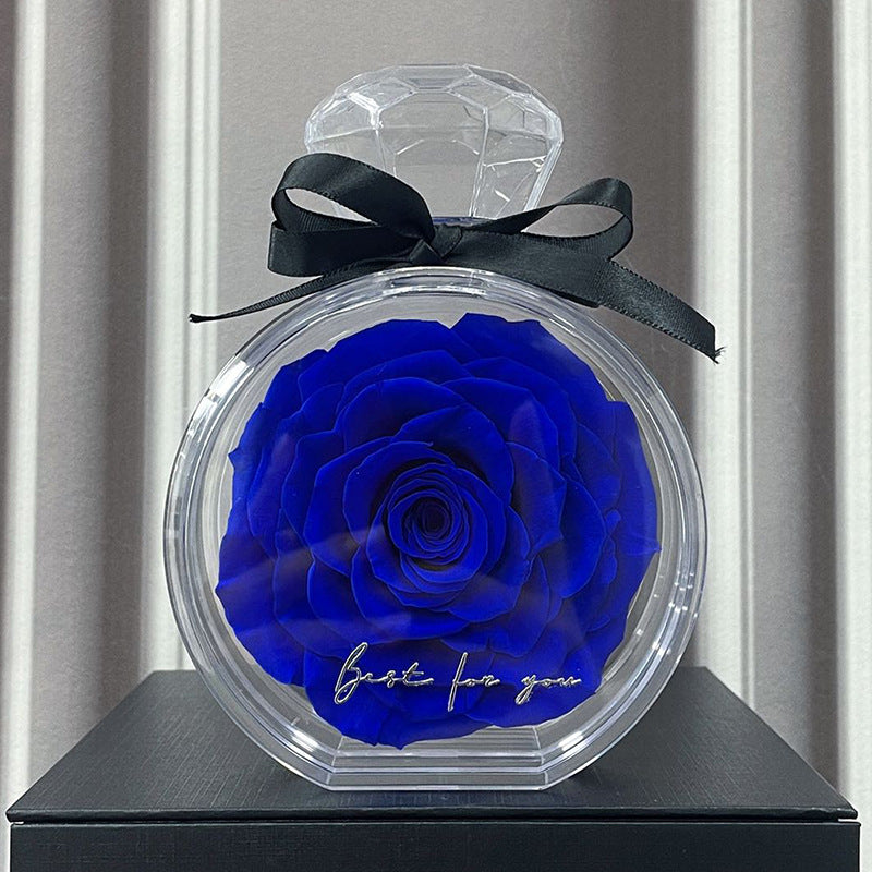 Eternal Dried Rose in a Clear Display Box A Timeless Valentines Gift for Someone Special