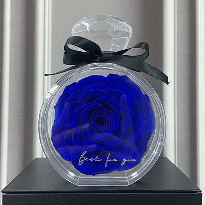 Eternal Dried Rose in a Clear Display Box A Timeless Valentines Gift for Someone Special