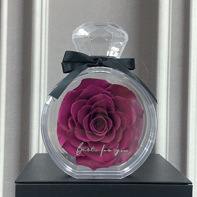 Eternal Dried Rose in a Clear Display Box A Timeless Valentines Gift for Someone Special