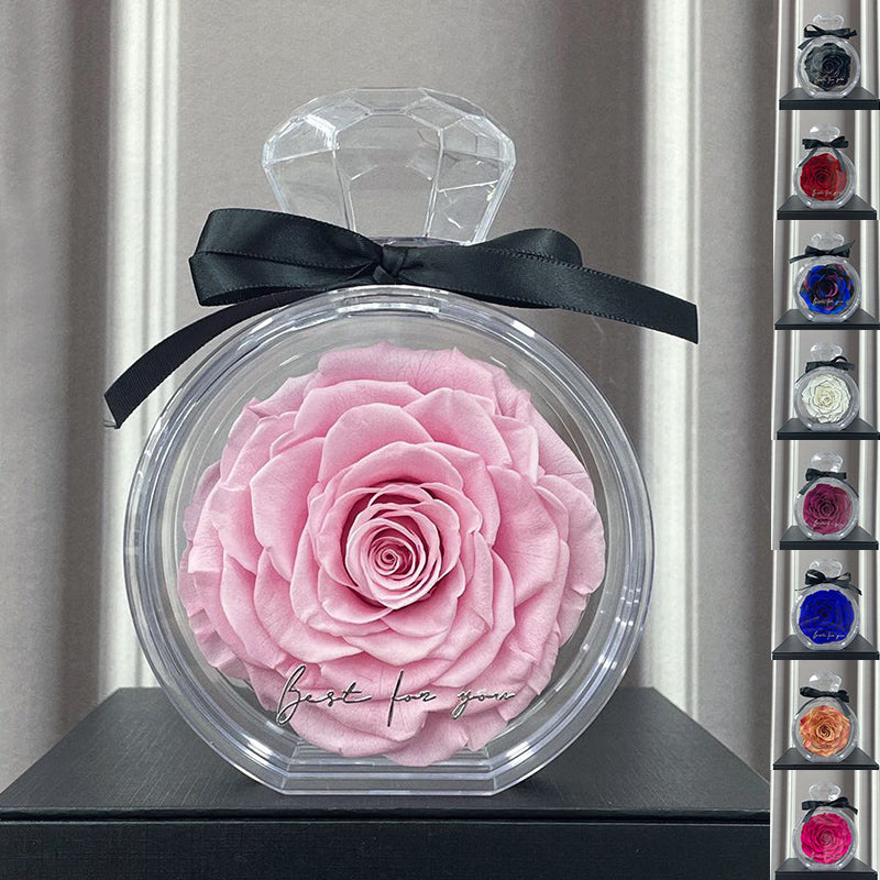 Eternal Dried Rose in a Clear Display Box A Timeless Valentines Gift for Someone Special