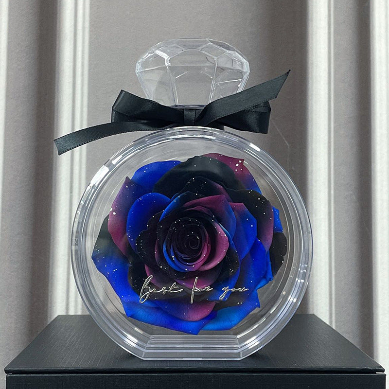 Eternal Dried Rose in a Clear Display Box A Timeless Valentines Gift for Someone Special