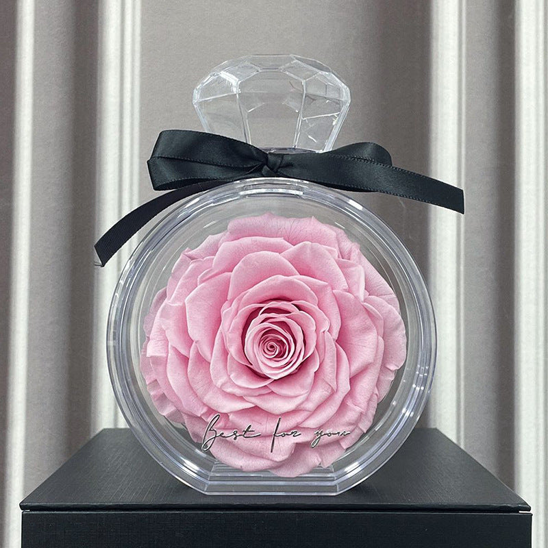 Eternal Dried Rose in a Clear Display Box A Timeless Valentines Gift for Someone Special