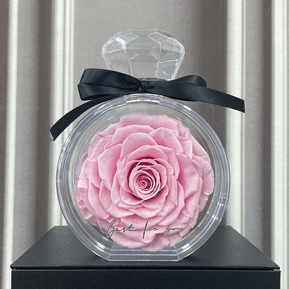 Eternal Dried Rose in a Clear Display Box A Timeless Valentines Gift for Someone Special