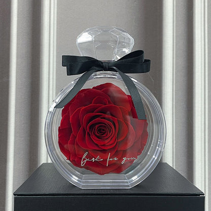 Eternal Dried Rose in a Clear Display Box A Timeless Valentines Gift for Someone Special
