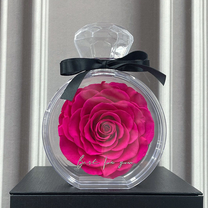 Eternal Dried Rose in a Clear Display Box A Timeless Valentines Gift for Someone Special
