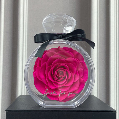 Eternal Dried Rose in a Clear Display Box A Timeless Valentines Gift for Someone Special