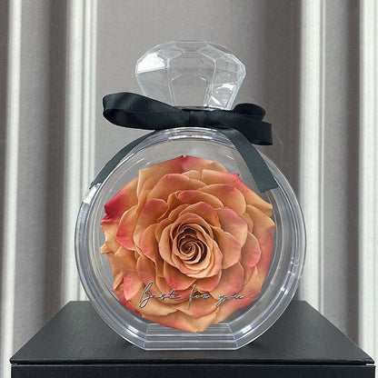 Eternal Dried Rose in a Clear Display Box A Timeless Valentines Gift for Someone Special
