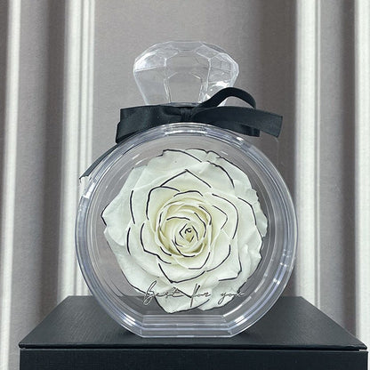 Eternal Dried Rose in a Clear Display Box A Timeless Valentines Gift for Someone Special